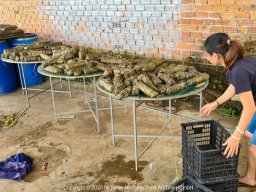 20201022-2020-10-22_09.31.17